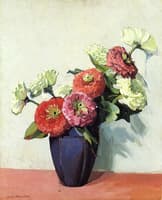 Zinnias