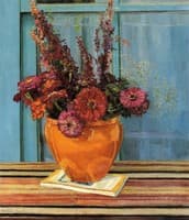 Zinnias
