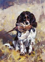 Spaniel Dickey with Pheasant
