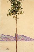 Little Tree