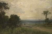Early Summer Morning