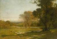 Midland Meadows