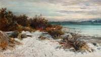 A Snowy Path
