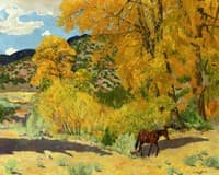 Autumn in Taos Canyon