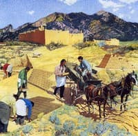 Builders in the Desert