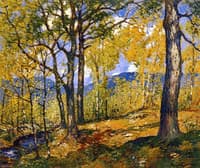 Oak Trees in Spring