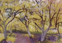 Orchard in bloom. Neskuchnoye