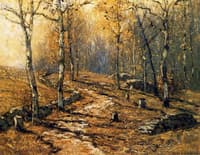 Autumn Woodlands