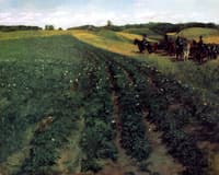 Potato Farm in Wessling