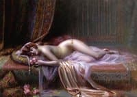 Odalisque