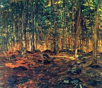 Forest Interior