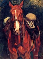 Currassier's Horse from the Front