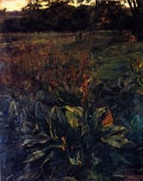 Plant Study in Park Hemsbach