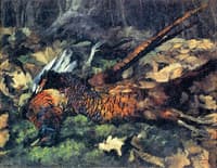 Pheasants