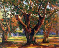 Trees
