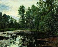 Overgrown pond. Domotkanovo