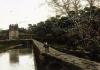 A Morning Stroll by the Canal