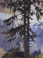 Fir Tree