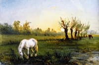 White Horse in a Meadow