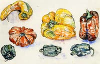 Peppers and Tomatos