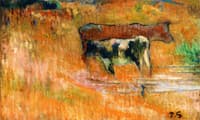 A Cow and Her Calf