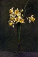 Yellow Flowers