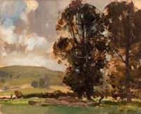 Berkshire Elms