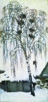 Winter. Rook Nests