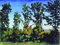 Young Oaks