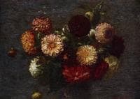 Chrysanthemums