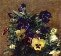 Pansies