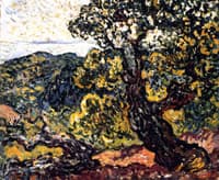 Landscape of the Midi