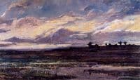 Marsh Landscape