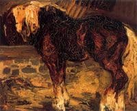 A Horse