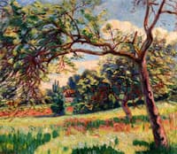 Landscape
