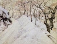 Paysage d'hiver sous la neige