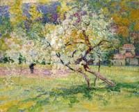 Blooming Trees