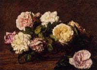 Flowers: Roses