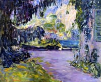 The Garden in the Shade