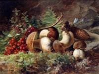 Mushrooms
