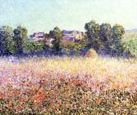 Field of Poppies in Flower