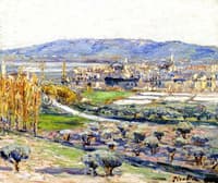 Landscape