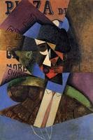 The Bull Fighter