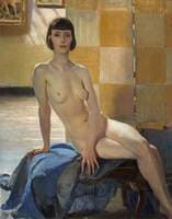Sunlight Nude