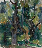 Oak Tree