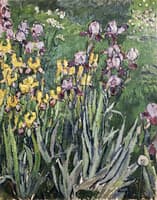 Irises