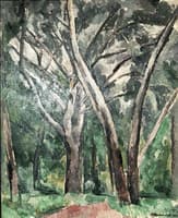 Silver Poplars