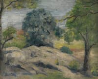 Woodland Landscape