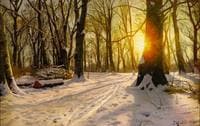 A Winter Day in Charlottenlund