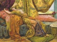 Reclining Beauty